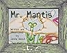 Mr. Mantis: My Little Green Friend