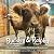Buckley the Highland Cow and Ralphy the Goat: A True Story about Kindness, Friendship, and Being Yourself