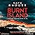 Burnt Island (DI Ben Kitto #3)