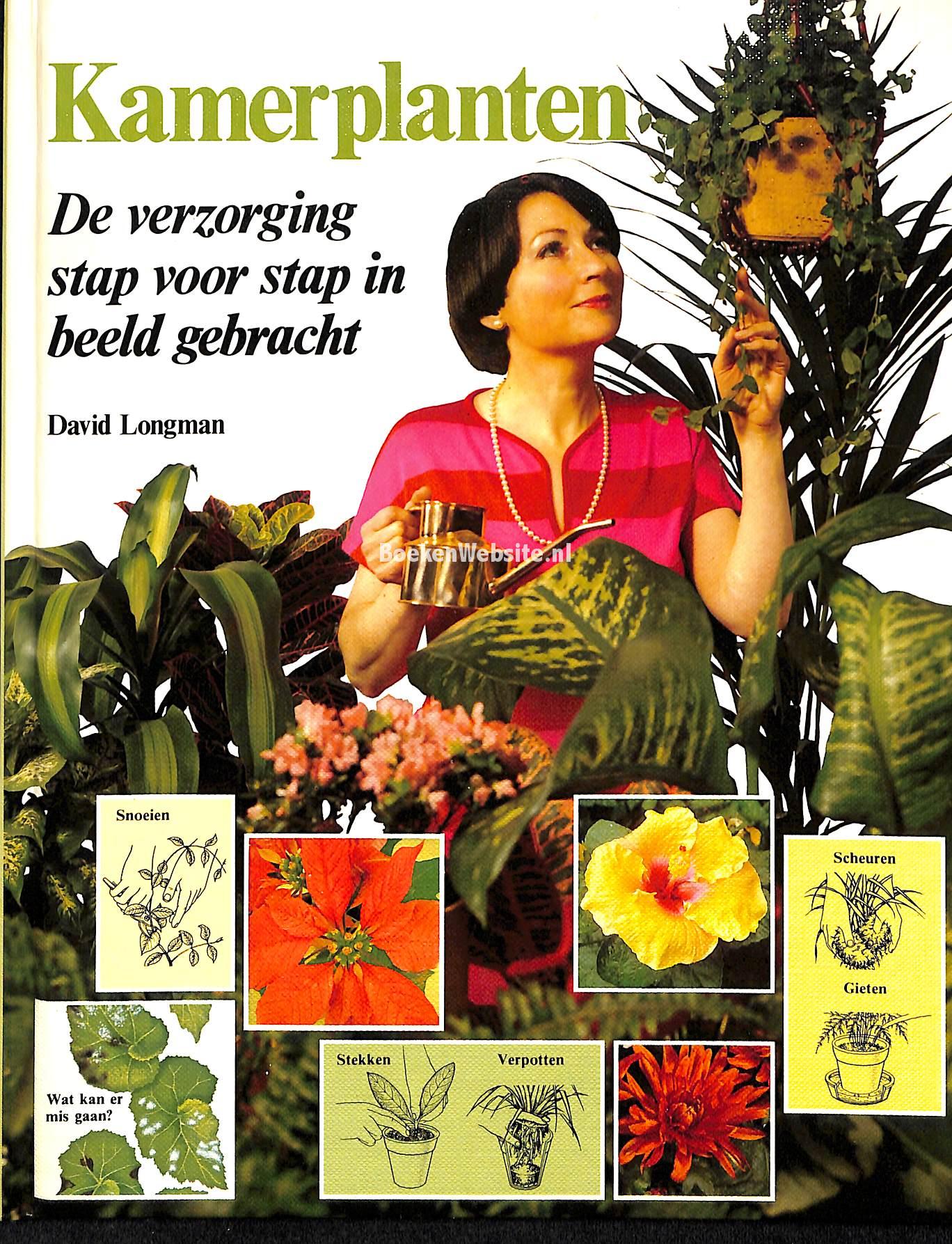 Kamerplanten: de verzorging stap voor stap in beeld gebracht