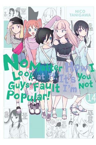 No Matter How I Look at It, It's You Guys' Fault I'm Not Popular!, Vol. 14 (Volume 14)