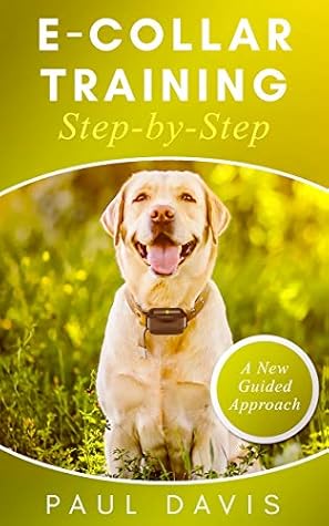 is e collar training effective