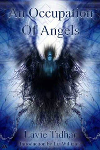 An Occupation of Angels (Paperback)