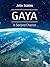 Gaya A second chance by Julia Scales