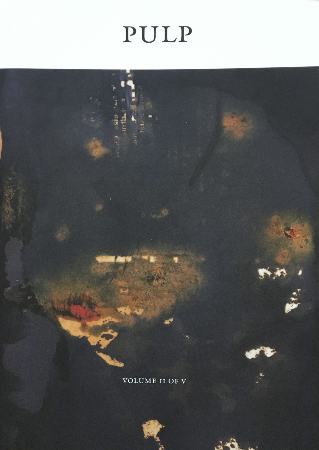 Pulp II: A Visual History of the Banished Book (Vol II of V)