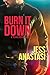 Burn It Down (Texas Heroes,...