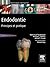 Endodontie: Principes et pratique (Techniques dentaires)