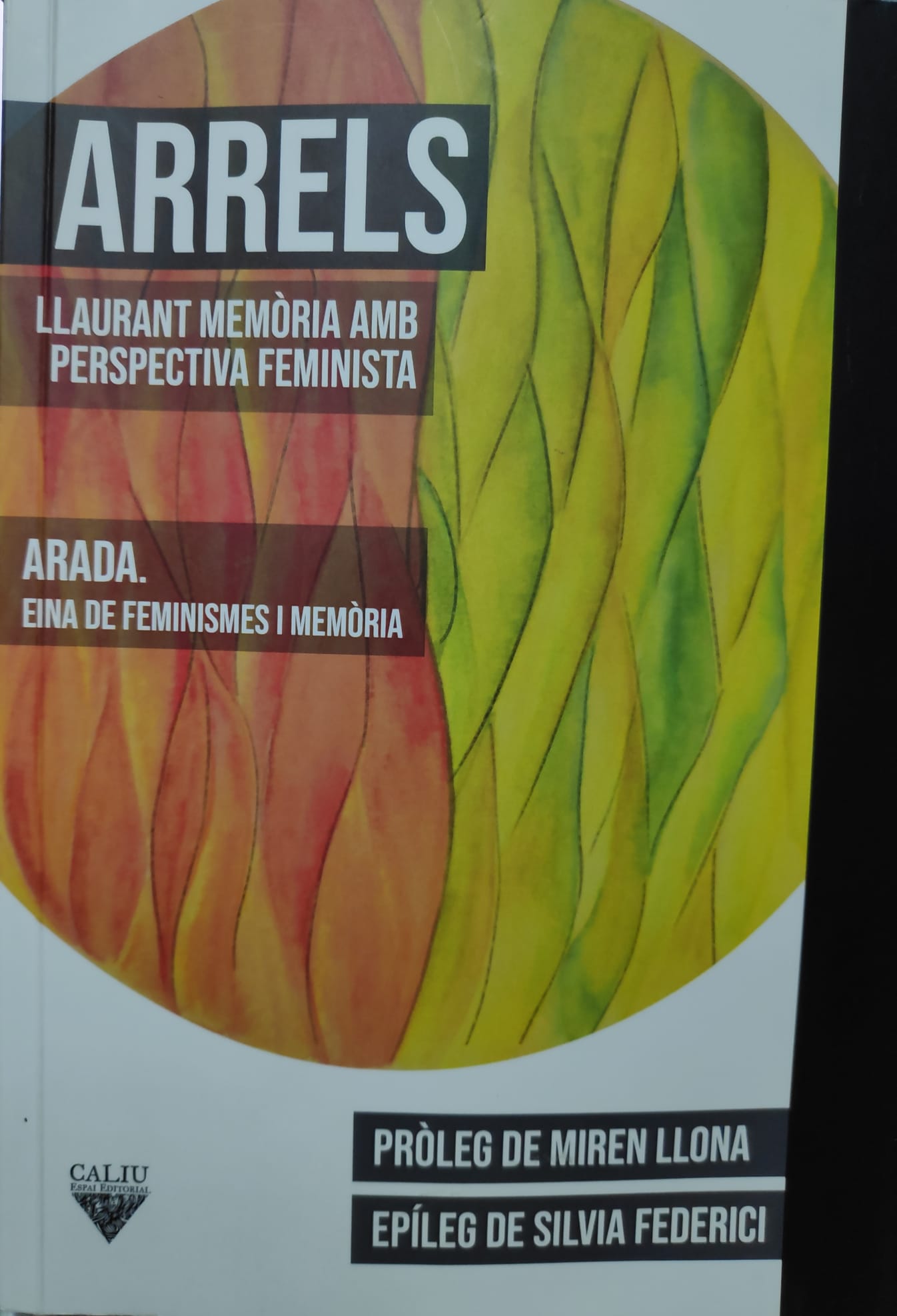 Arrels. Llaurant memòria amb perspectiva feminista.