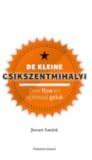De kleine Csikszentmihalyi by Jeroen Ansink