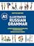 Illustrated Russian Grammar