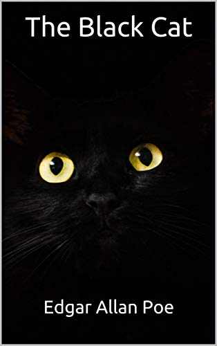 The Black Cat