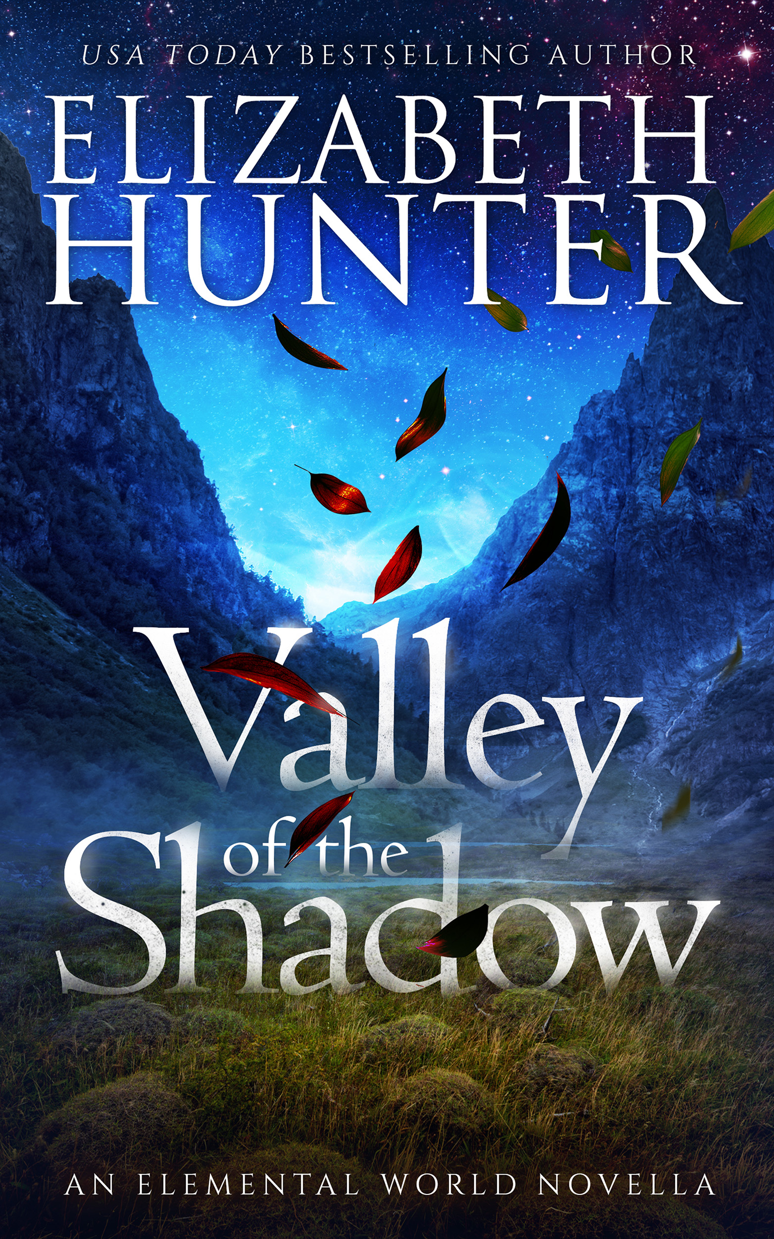 Valley of the Shadow (Elemental World, #4.5)