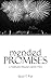 Mended Promises by Quell T. Fox