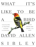 What It's Like to Be a Bird: From Flying to Nesting, Eating to Singing—What Birds Are Doing, and Why