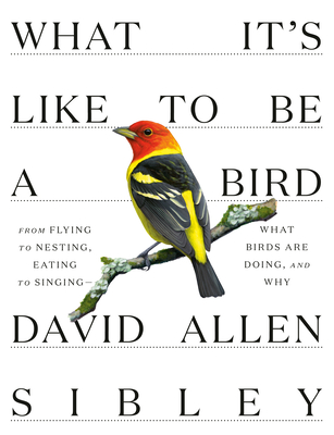What It's Like to Be a Bird: From Flying to Nesting, Eating to Singing—What Birds Are Doing, and Why (Hardcover)