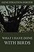 What I have done with birds