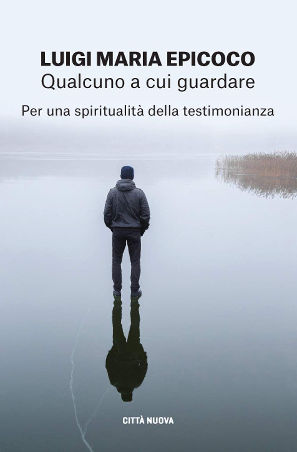 Qualcuno a cui guardare: Per una spiritualità della testimonianza