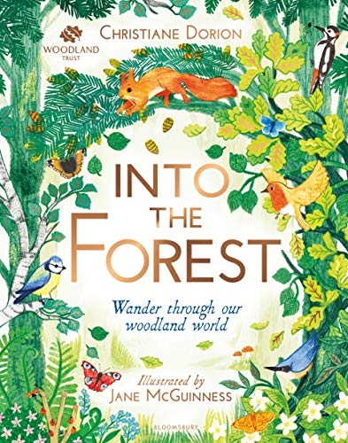 Into The Forest : Wander through our woodland world (Hardcover)