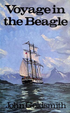 Voyage in the Beagle (Hardcover)