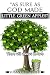 As Sure As God Made Little Green Apples by Susan  Crawford