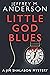 Little God Blues (The Jim Shalabon Playlist Book 1)