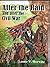 After The Raid And After The Civil War by Lester V. Horwitz