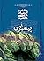 پیامبر امی