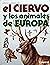 El ciervo y los animales de...