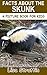 Facts About the Skunk (A Picture Book For Kids 262) by Lisa Strattin