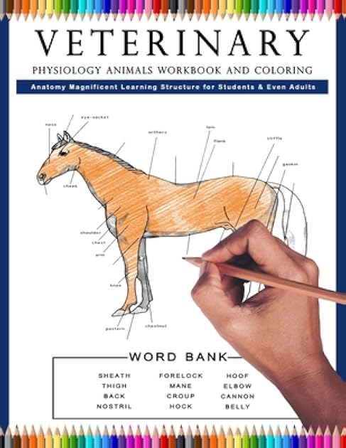 Veterinary Physiology Animals Workbook and Coloring Anatomy Magnificent Learning Structure for Students & Even Adults