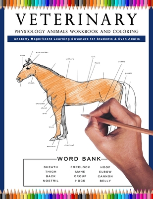 Veterinary Physiology Animals Workbook and Coloring Anatomy Magnificent Learning Structure for Students & Even Adults