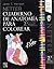 Netter Cuaderno de anatomía para colorear