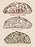 Super Sourdough: The Foolpr...