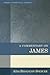 A Commentary on James by Aida Besancon Spencer