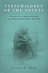 Stepchildren of the Shtetl by Natan M. Meir