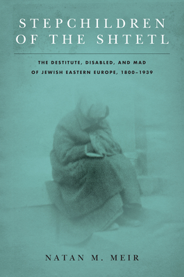 Stepchildren of the Shtetl: The Destitute, Disabled, and Mad of Jewish Eastern Europe, 1800-1939 (Paperback)