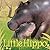 Little Hippo (Little Animal Friends)