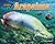 Arapaima (Apex Predators of the Amazon Rain Forest)