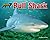 Bull Shark (Apex Predators of the Amazon Rain Forest)