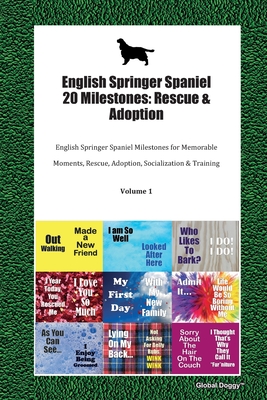 springer adoption