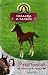 Storie di cavalli. Vacanza a cavallo volume 5 by Pippa Funnell