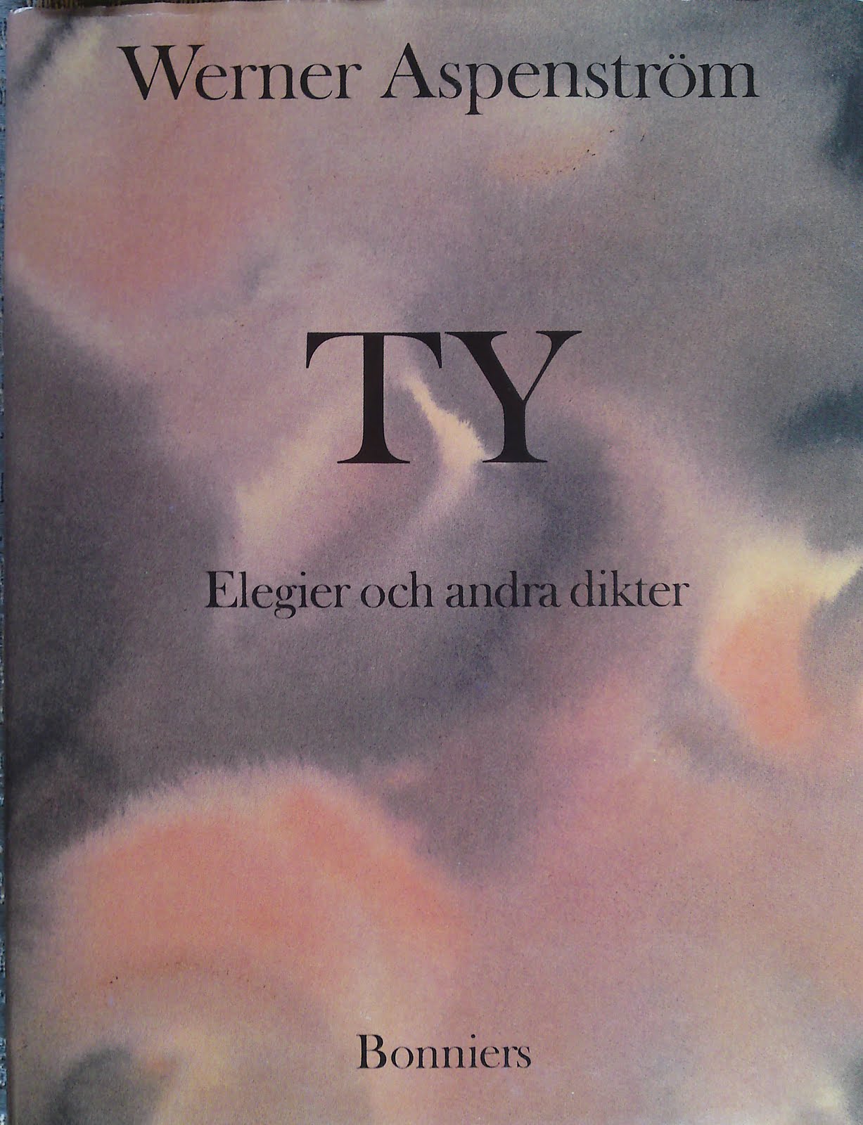 Ty: Elegier och andra dikter (Hardcover)