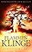 Flammenklinge (Lichtsplitter-Saga #2)