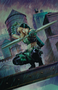 Robyn Hood: Vigilante #1 (Robyn Hood: Vigilante, #1)