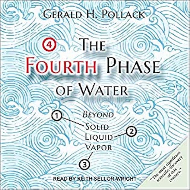The Fourth Phase of Water: Beyond Solid, Liquid, and Vapor