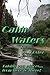 Calm Waters by A. Foster