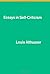 Essays on Self-Criticism