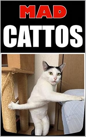 Memes Mad Cattos Mad Memes For Mad Gammons Lol Funny Memes Book With Cool Comedy By Memes