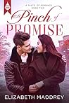A Pinch of Promise by Elizabeth Maddrey