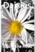 Daisies and other Nature Poems